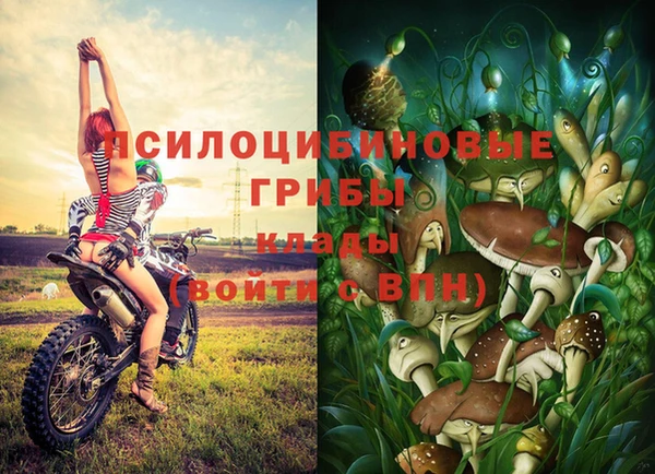 Альфа ПВП Арсеньев