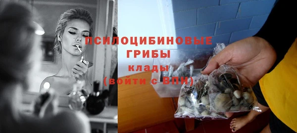 Альфа ПВП Арсеньев