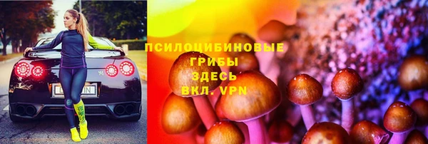 альфа пвп Армянск