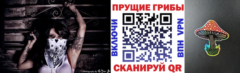 Псилоцибиновые грибы Psilocybine cubensis купить наркотик Киров