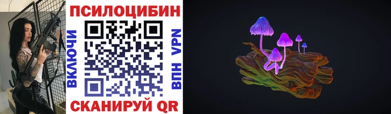 Псилоцибиновые грибы Psilocybine cubensis Киров
